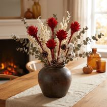 Article Fleurs séchées Plumosum rouges 25 pièces