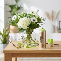 Article Lac spray acrylique vert pomme Montana Gold 400 ml