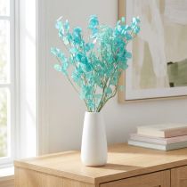 Article Branche de Lunaria Séchée Hellblau 65-70 cm 20 g