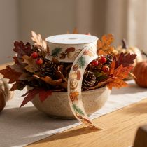Article Ruban décoratif avec motif champignons et feuilles d'automne 25mm x 18m