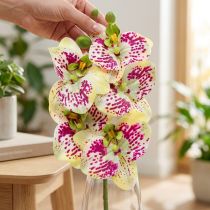 Article Branche d'Orchidée Artificielle Phaelaenopsis Verte et Rose 49 cm
