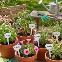 Article Étiquettes de Plantes en Plastique Blanc 8 cm - Lot de 100
