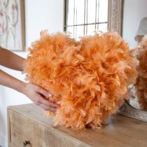 Article Plumes décoratives orange 5-10 cm pour bricolage et décoration de printemps 20 g