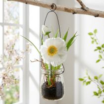 Article Mohn blanc en pot suspendu en verre H22cm