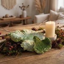 Article Champignon décoratif séché vert et blanc lavé 1kg
