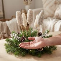 Article Luffa naturelle blanche montée sur tige en bois - Lot de 25
