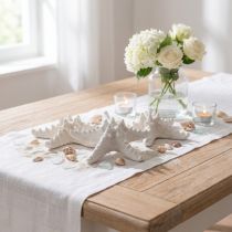 Article Lot de 10 étoiles de mer séchées blanches 15-18 cm
