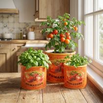 Article Set de Pots Décoratifs en Céramique avec Motif Tomates – 3 Tailles