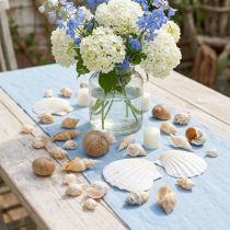 Article Coffret de Coquillages Naturels - Décoration Maritime 350g