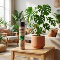 Article Spray d'entretien Floralife pour plantes - Brillance naturelle 750 ml