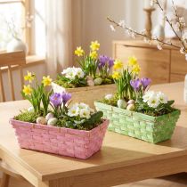 Article Paniers rectangulaires de printemps multicolores 25 x 12 x 9 cm - Lot de 6