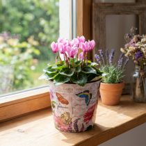 Article Cache-pot motif floral en plastique Ø15,5×H13cm