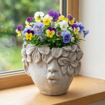 Article Pots de fleurs en forme de tête avec couronne de fleurs, 13,5 cm, effet béton