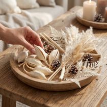 Article Décorations naturelles en bois Brachychiton blanchies 500g