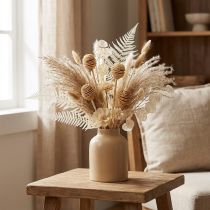 Article Fleurs séchées Platyspermum naturel blanchi – 25 pièces