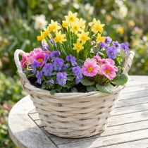 Article Petit panier tressé avec anses en bois blanchi pour plantes Ø18cm H12cm
