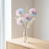 Article Décoration fleurs séchées Pusteblume stabilisées et colorées - Set de 4 - 12 cm
