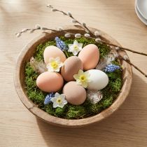 Article Œufs de Pâques en Peach, Marron et Blanc avec Finition Veloutée – Lot de 24