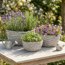 Article Set de 3 corbeilles en osier blanc gris aspect Shabby Chic