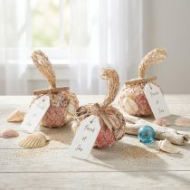 Article Mélange de Coquillages Décoratifs en Filet – Multicolore 300g