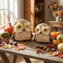 Article Figurines de hiboux décoratifs avec pommes de pin - Lot de 2 - 12,5×10×10cm