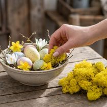 Article Mousse décorative citron jaune 500g pour créations et décoration intérieure