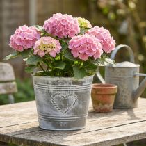 Article Cache-pot en métal style Shabby Chic avec motif cœur 22 cm x 17,5 cm