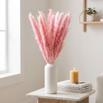 Article Herbe Séchée Rose pour Décoration Intérieure - 10 Tiges 70 cm