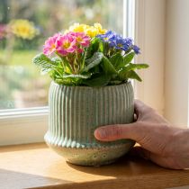 Article Cache-pot en céramique nervuré vert clair Ø14,5cm H12,5cm