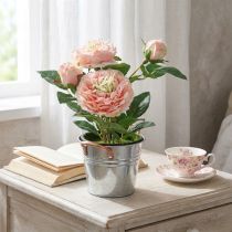Article Deko-Rose en Pot, Pivoine Artificielle Rose en Soie