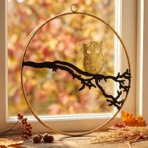 Article Décoration suspendue en métal, cercle 22 cm avec chouette dorée sur branche noire