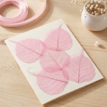 Article Feuilles Squelettisées Roses en Weiden 5-9 cm - Lot de 200 pour Décoration et Loisirs Créatifs