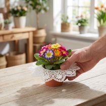 Article Bases en papier Biedermeier blanches 18 cm - Lot de 25