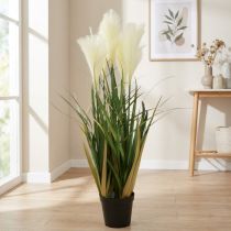 Article Plante artificielle Riedgras en pot, crème et vert, 79 cm