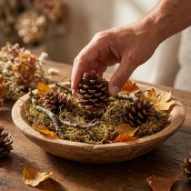 Article Pommes de pin naturelles Pinus Pinea 8-10 cm, 50 pièces
