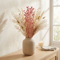 Article Eryngium Fraise Rose Sec 50 cm 100 g Décoration Fleurs Séchées