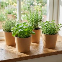 Article Pots cache-pots en papier kraft Ø15 cm H13 cm lot de 4