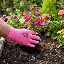 Article Gants de Jardin Kixx Taille 8 en Rose et Rose Foncé