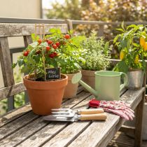 Article Set d’outils de jardin avec griffe, pelle et étiquettes en bois