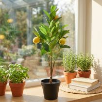 Article Citronnier artificiel décoratif en pot – H58cm