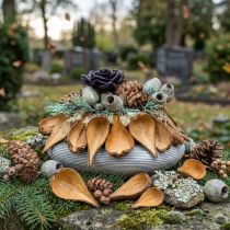 Article Capsules décoratives naturelles en bois brun 9-12 cm - Lot de 50