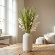 Article Herbe Séchée Verte Agrostis Capillaris 65 cm - 80 g