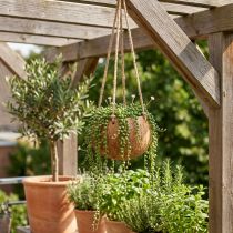 Article Suspension en coque de noix de coco naturelle avec corde en jute, Ø8 cm, L55 cm