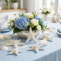Article Lot de 30 étoiles de mer naturelles blanches 3-6 cm