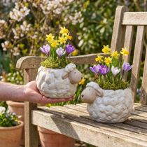 Article Pot à plante en céramique motif mouton – Lot de 2