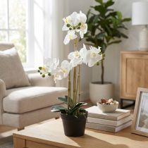 Article Orchidée artificielle blanche en pot 60 cm