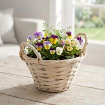 Article Panier décoratif en bois clair avec poignées et doublure plastique