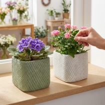 Article Set de 2 Cache-pots Carrés en Céramique Blanc et Vert avec Motif Relief - 12,5 cm