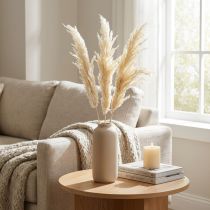 Article Pampas séché crème 95 cm - Lot de 3 tiges