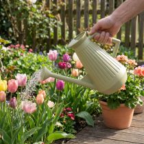 Article Arrosoir 9L vert olive avec pomme amovible pour jardin et plantes
